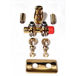 Supapa termostatica TWINS...